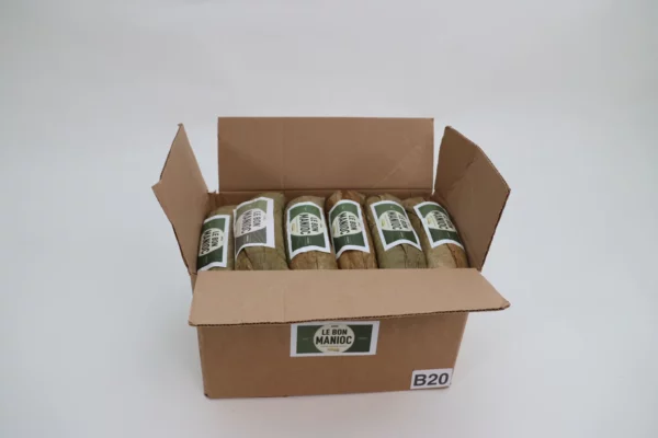 B20 Lot de 20 maniocs