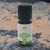 Huile Essentielle de Menthe Poivrée Bio