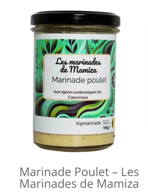 MARINADE EPICES CUISSON RAPIDE POULET BRAISE