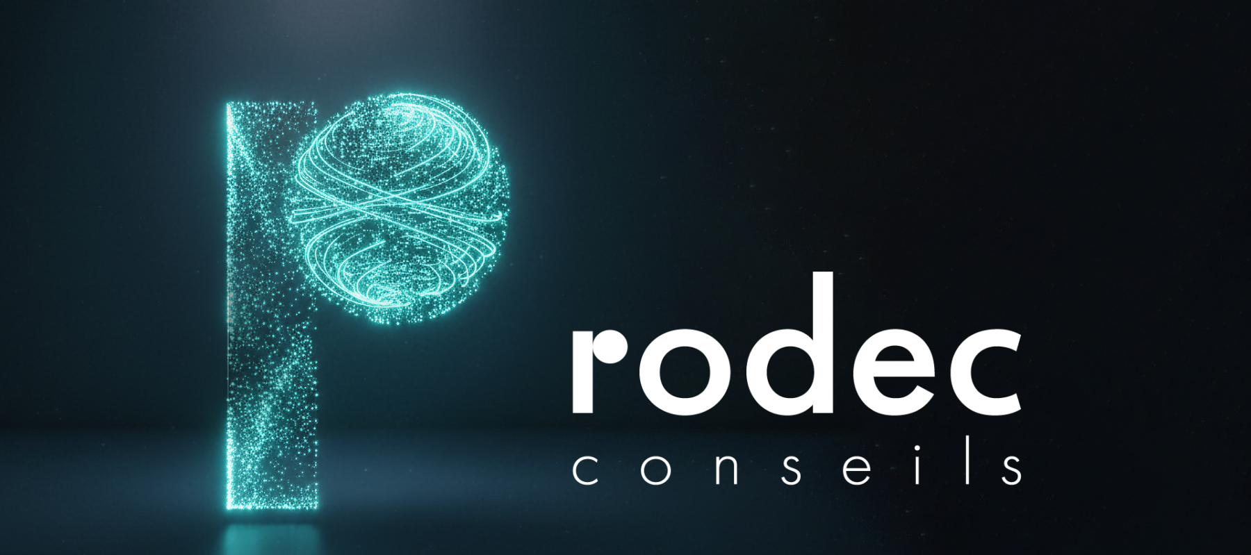 RODEC CONSEILS