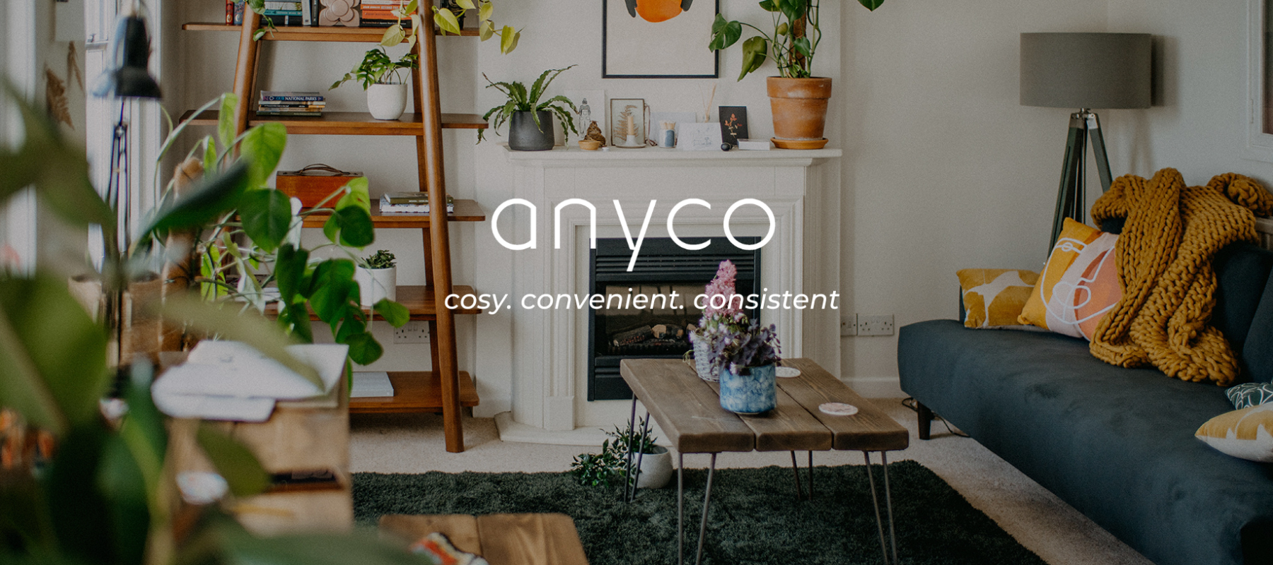 Anyco Store